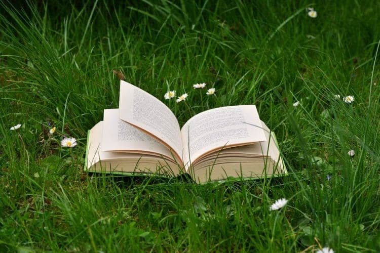 A book on grass symbolising edtech to read a book faster